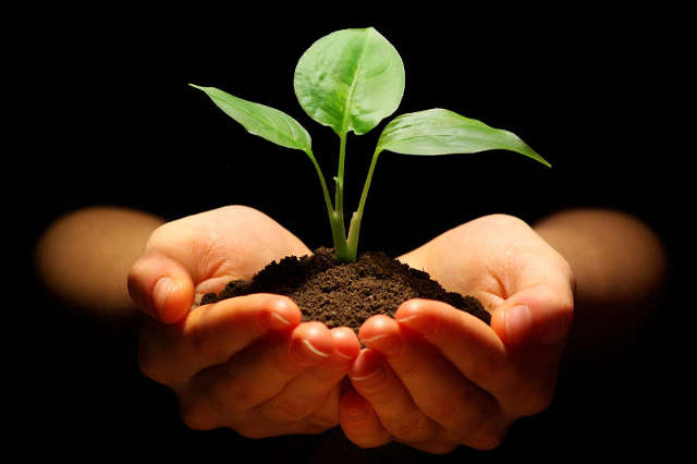 Définition de la Thérapie Brève