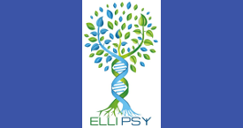 Ellipsy membre FFHTB